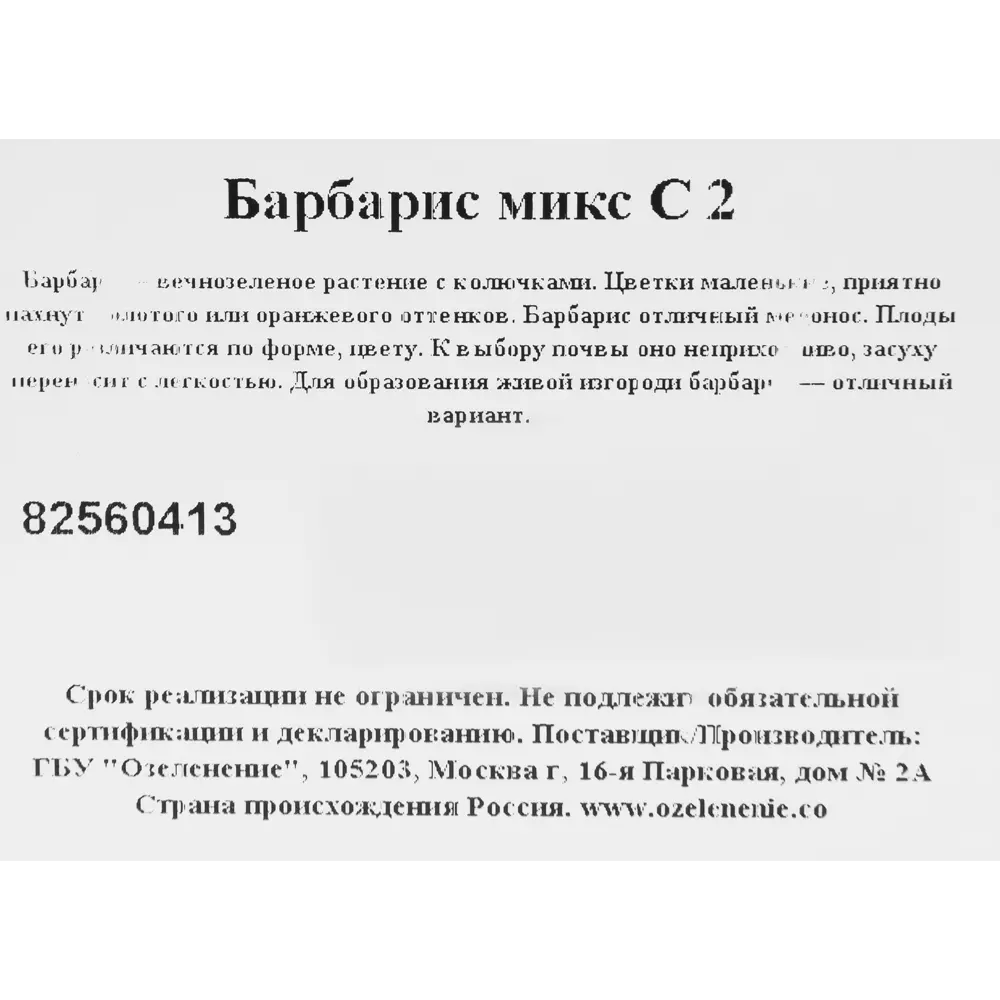 Барбарис микс C2 82560413 STLM-2076067 Santreyd  - Вид №1