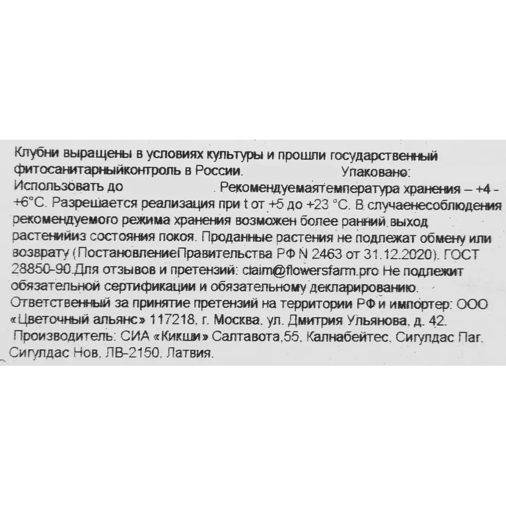 Бегония Нон стоп микс 3 шт. 83628402 STLM-2020921 Santreyd  - Вид №3