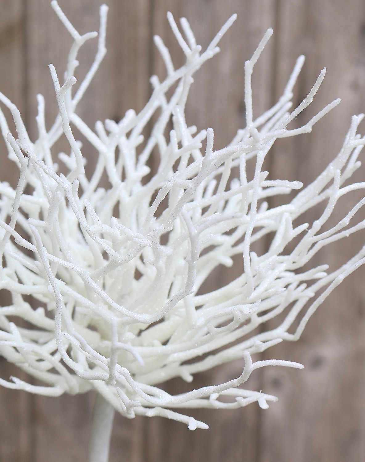 5706 799 a3 Ветка декоративная искусственная, 60 см, матовый белый H-andreas  - Вид №2