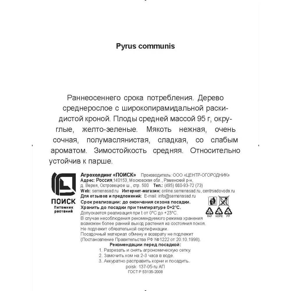 Груша обыкновенная Светлянка h200 см в сетке Поиск Инвест 84399309 STLM-2041872 Santreyd  - Вид №2
