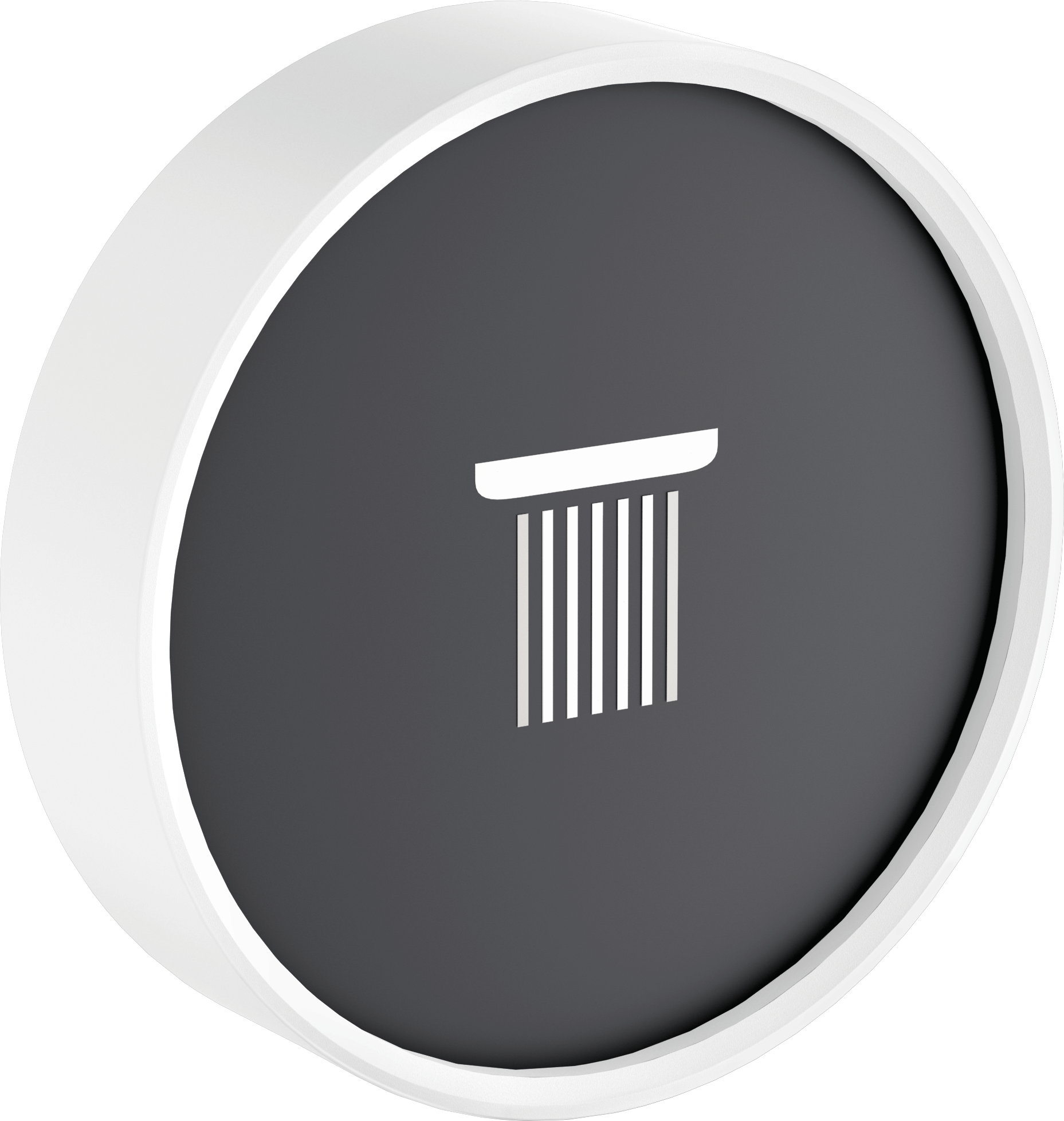 25012700 Душевая лейка RainButton Symbol 01 Hansgrohe 