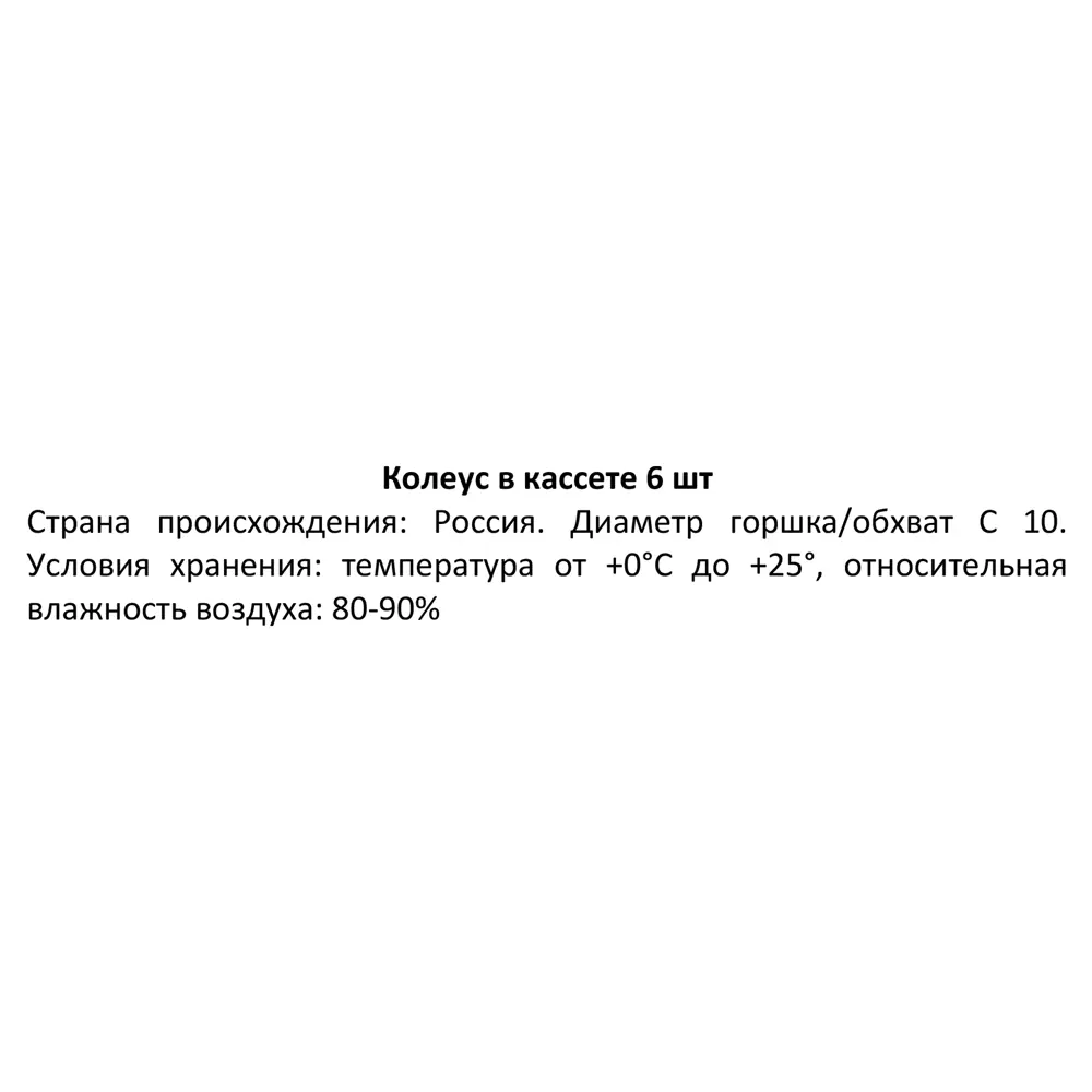Колеус в кассетах, 6 шт Santreyd STLM-2099467 - Вид №3