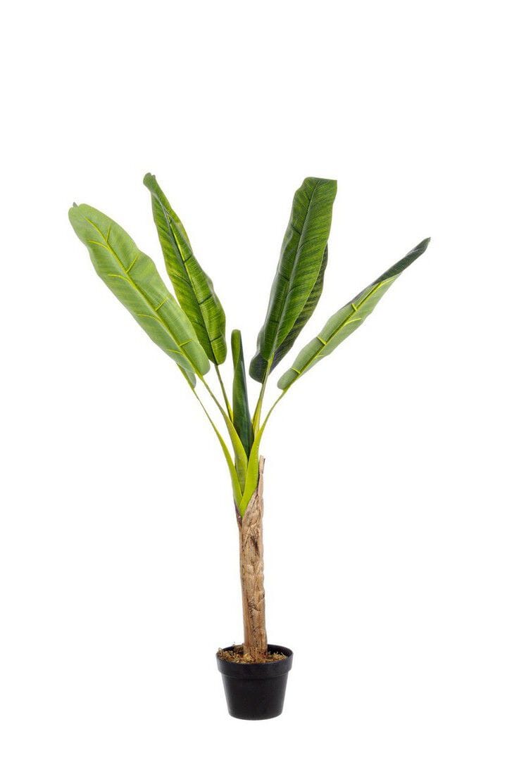 Искусственное растение BIZZOTTO BANANO ARCH-00120543 - Вид №1