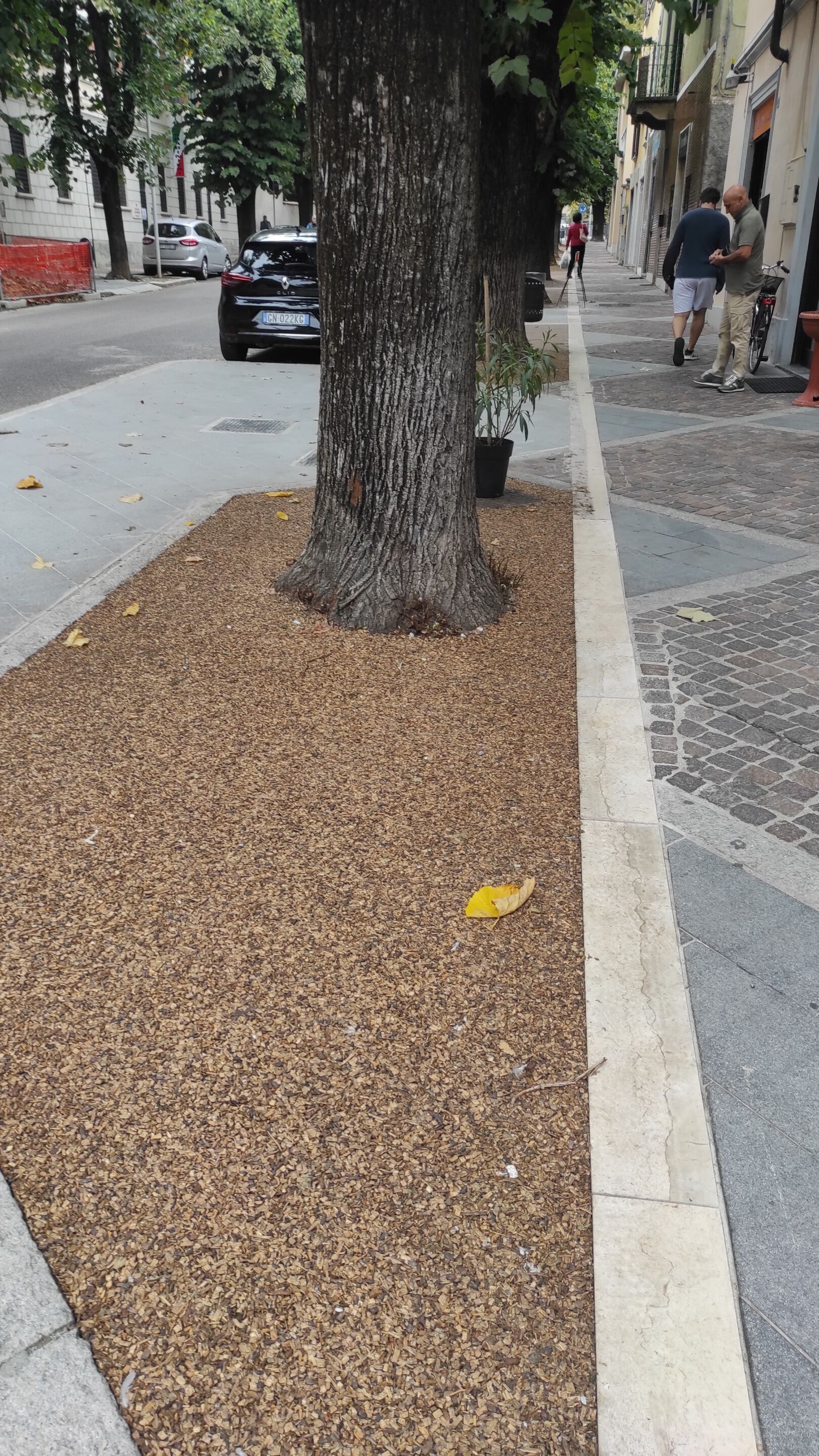 Настил из древесной щепы Studio Muscatelli GREVELWOOD ARCH-00067258 - Вид №7