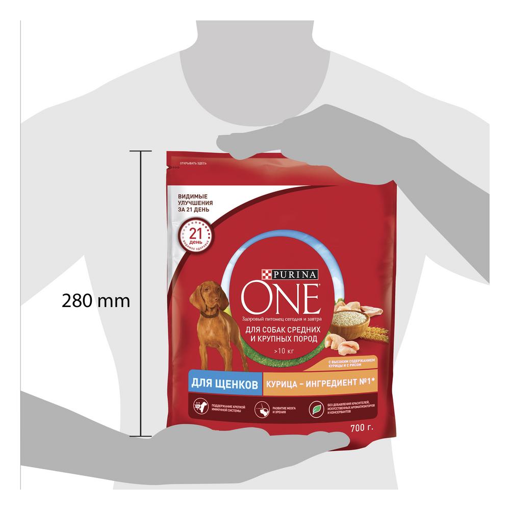 ПР0059692 Корм для щенков для средних и крупных пород, курица, рис сух. 700кг ONE  - Вид №1