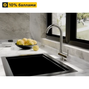 Кухонный смеситель Delinia Сиг с высоким изливом 25 см 89352204