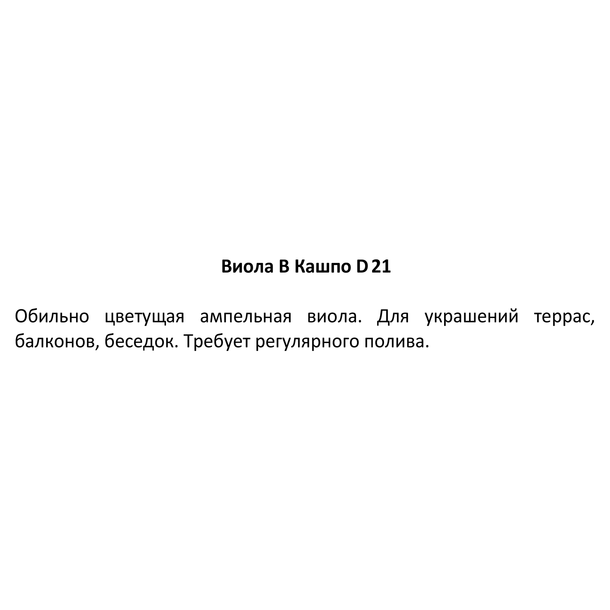 Рассада фиалки Виола разноцветная в горшке Santreyd 83597613 STLM-0042361 - Вид №3