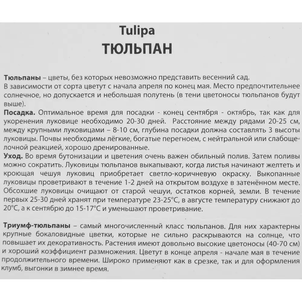 Тюльпан Триумф Стронг лав луковица 12/14, 5 шт. 88294799 STLM-2106925 Santreyd  - Вид №2