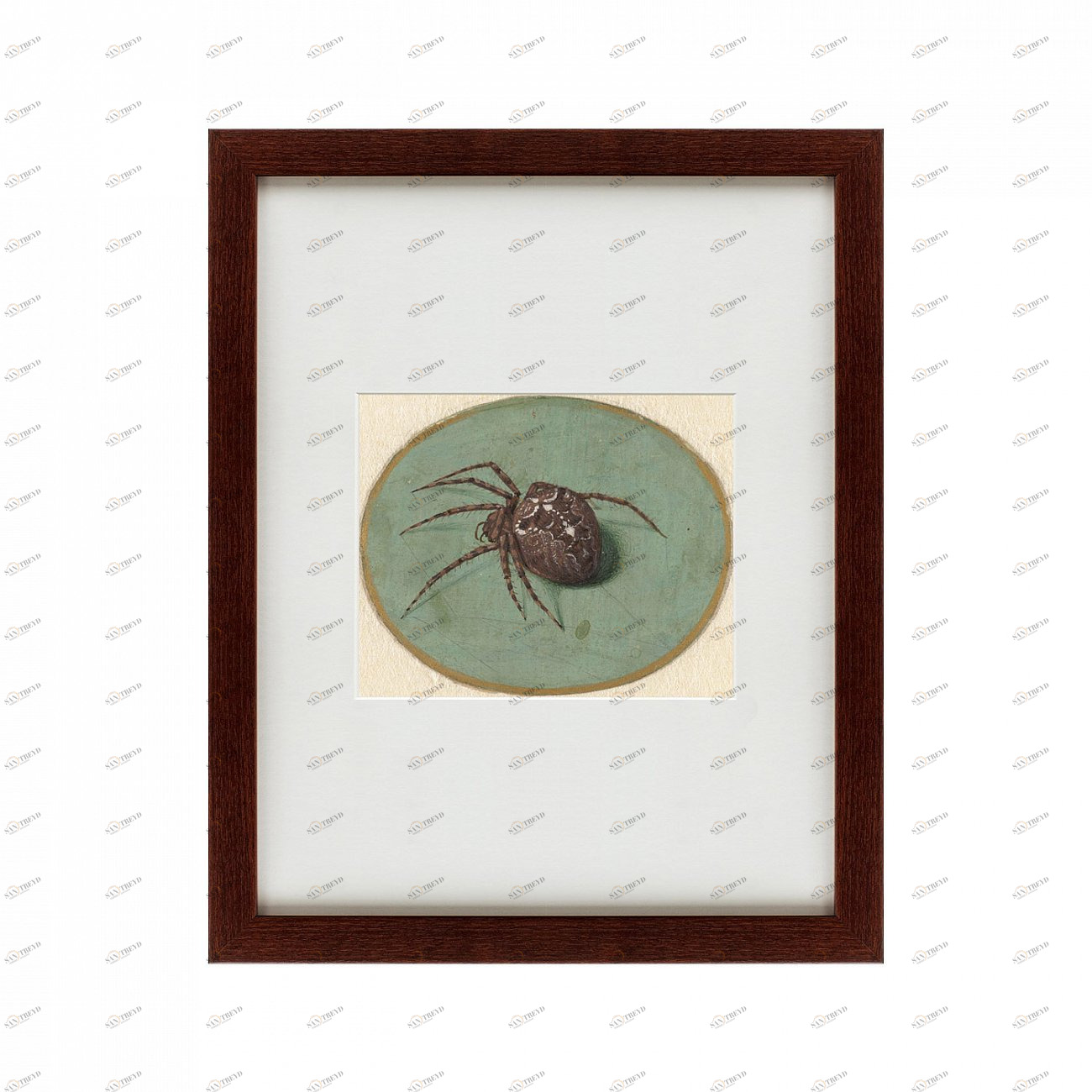 Картина паук: Spider, 1690 КАРТИНЫ В КВАРТИРУ  135747 Коричневый;серый 