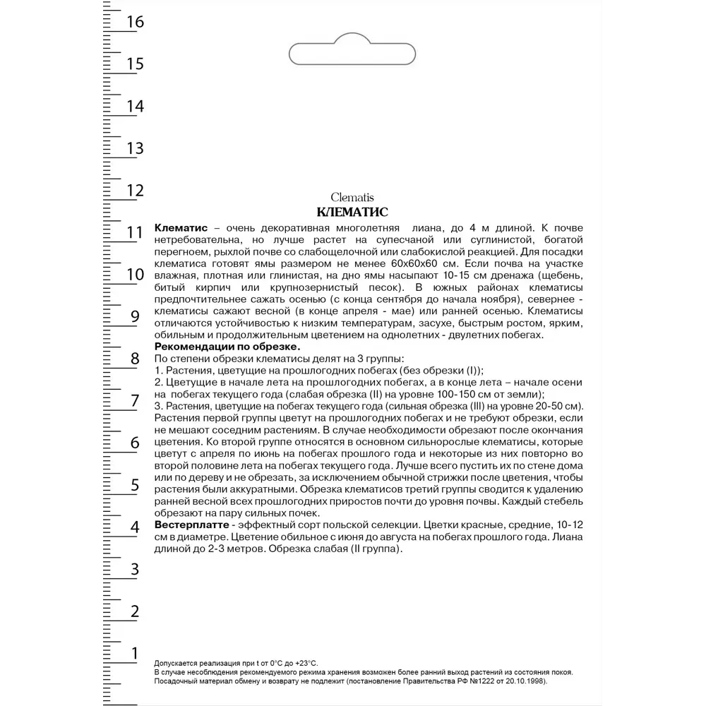 Клематис крупноцветковый Вестерплатте в капере 82527515 STLM-2001615 Santreyd  - Вид №1