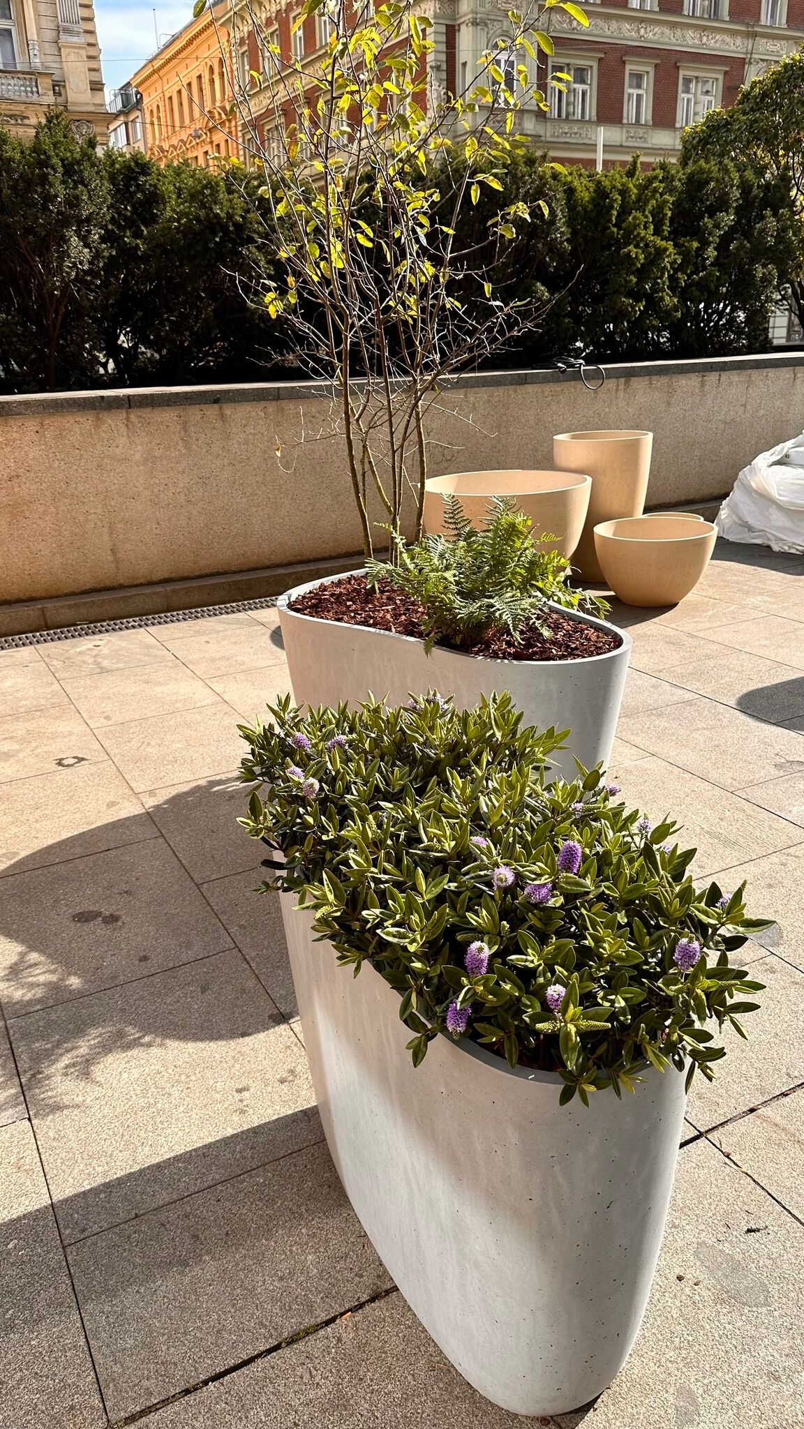 Бетонная ВАЗа ручной работы Betoni Organic ARCH-00149305 - Вид №6