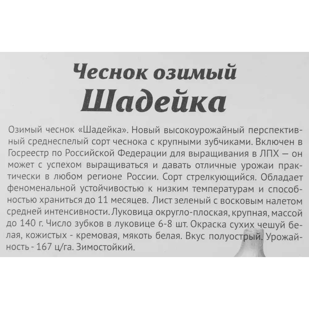 Santreyd Чеснок озимый Шадейка - 7 луковиц для богатого урожая 85273427 STLM-0966003 - Вид №2