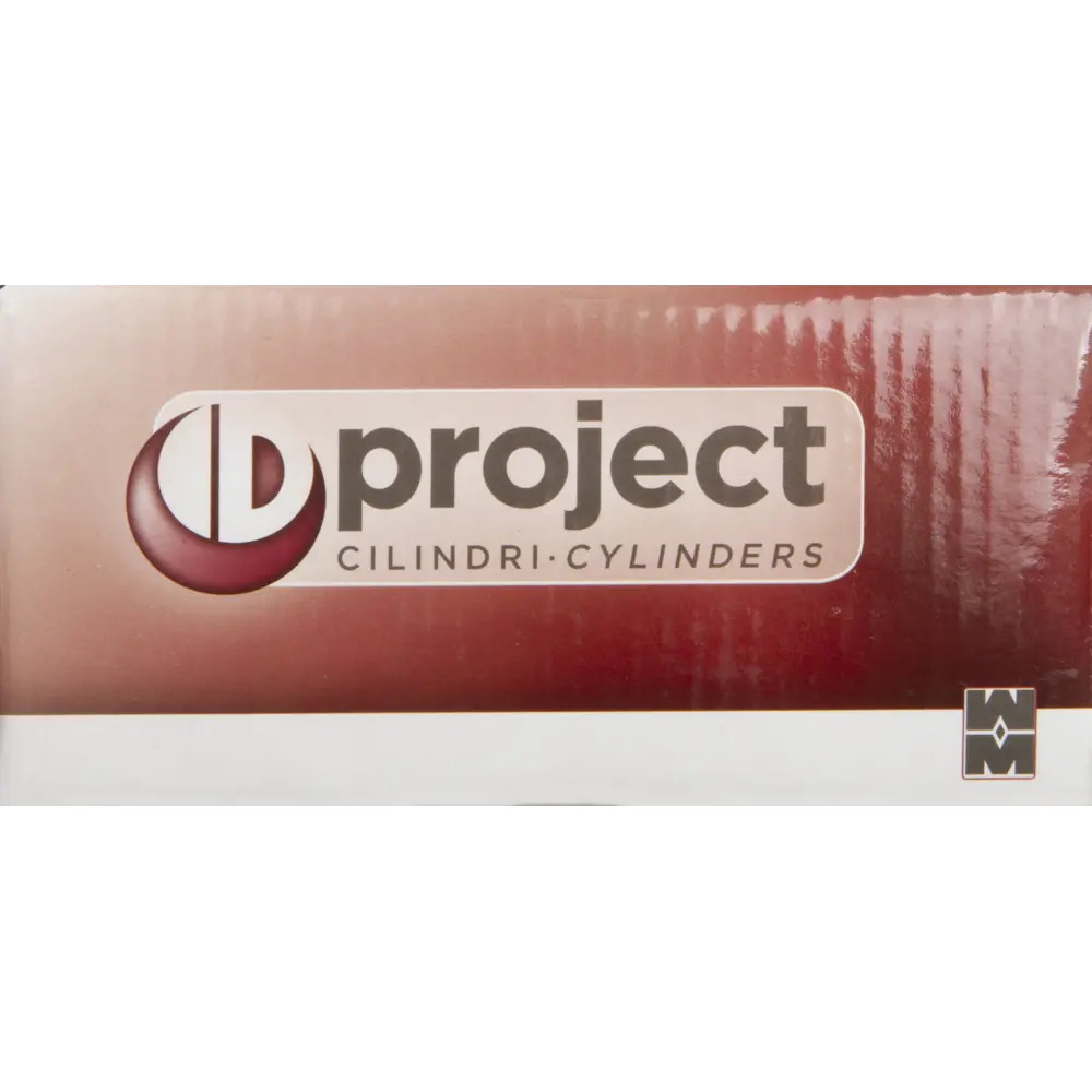 Цилиндр Mottura Project DPC1F3131 S3, 26x10x26 мм, ключ/вертушка, цвет никель STLM-2192716 - Вид №3