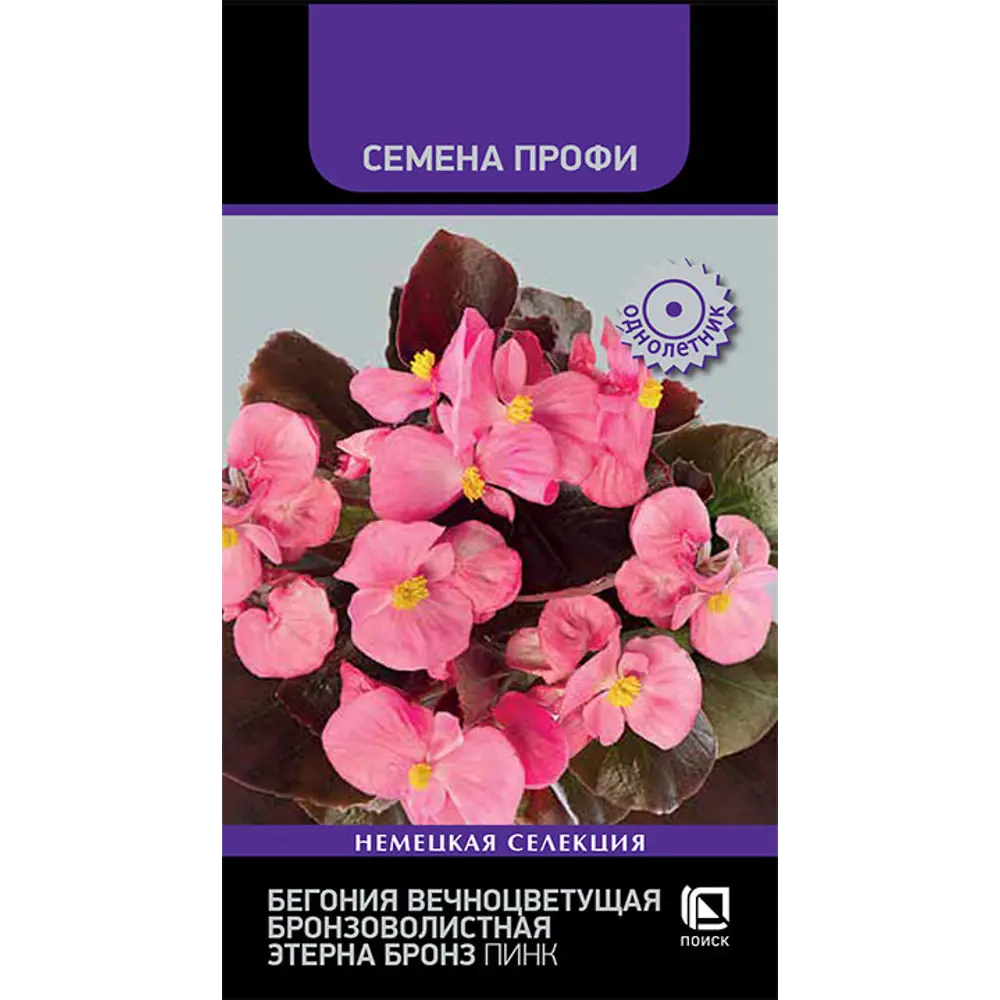 Бегония вечноцветущая Бронз Пинк от ПОИСК - рубиново-красный букет в бронзовой оправе 89401252 STLM-1563323