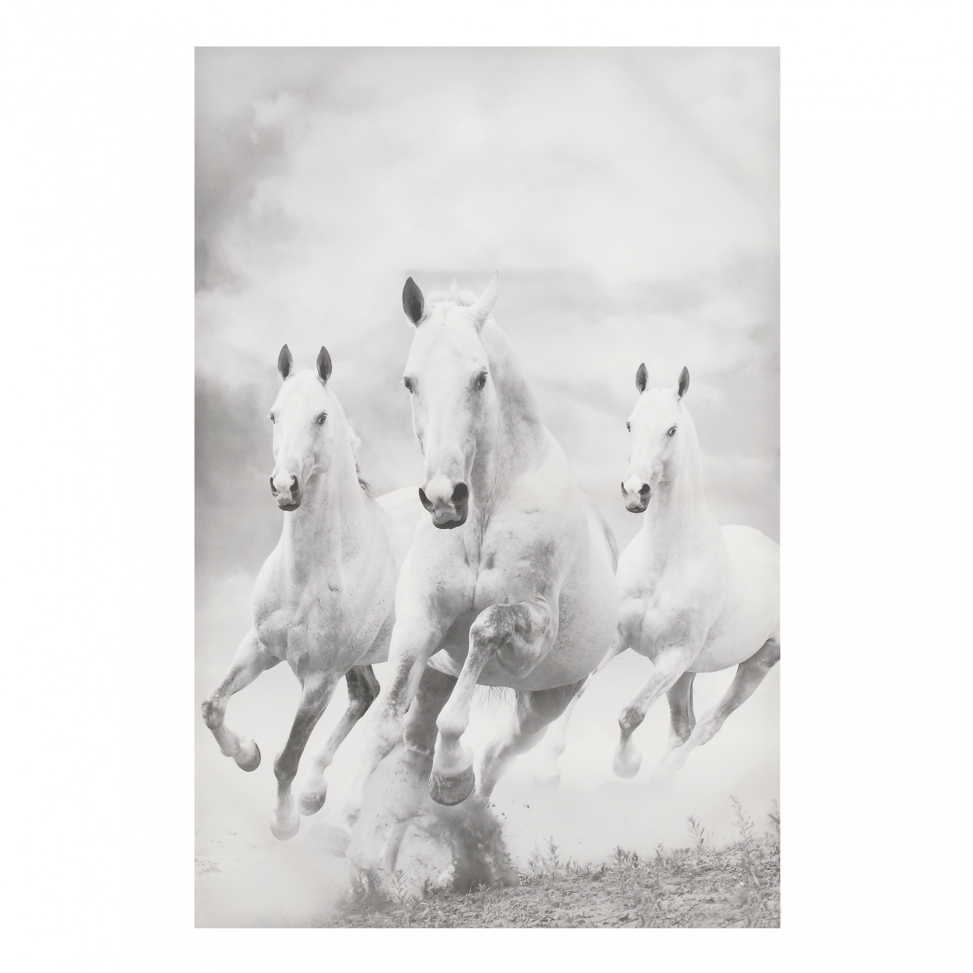 3890859.0068 картина на подрамнике TO4ROOMS 