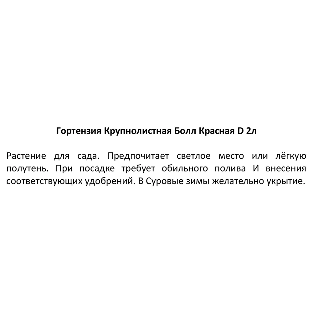Гортензия крупнолистная Болл красная h15 Santreyd STLM-2126935 - Вид №3