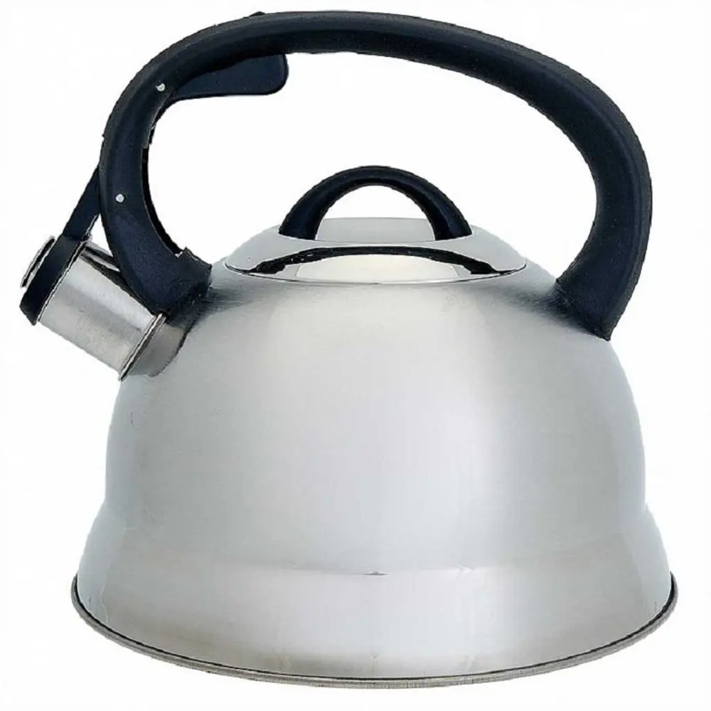 90610254 Чайник Webber BE-0554 2.5 л нержавеющая сталь цвет серебристый STLM-0877388