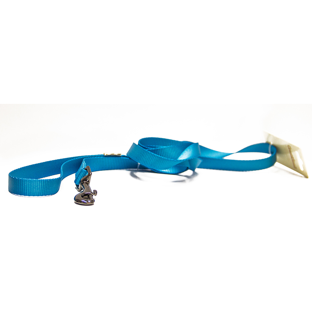 ПР0041987 Поводок для собак 20x2000мм нейлон Голубой Great&Small 
