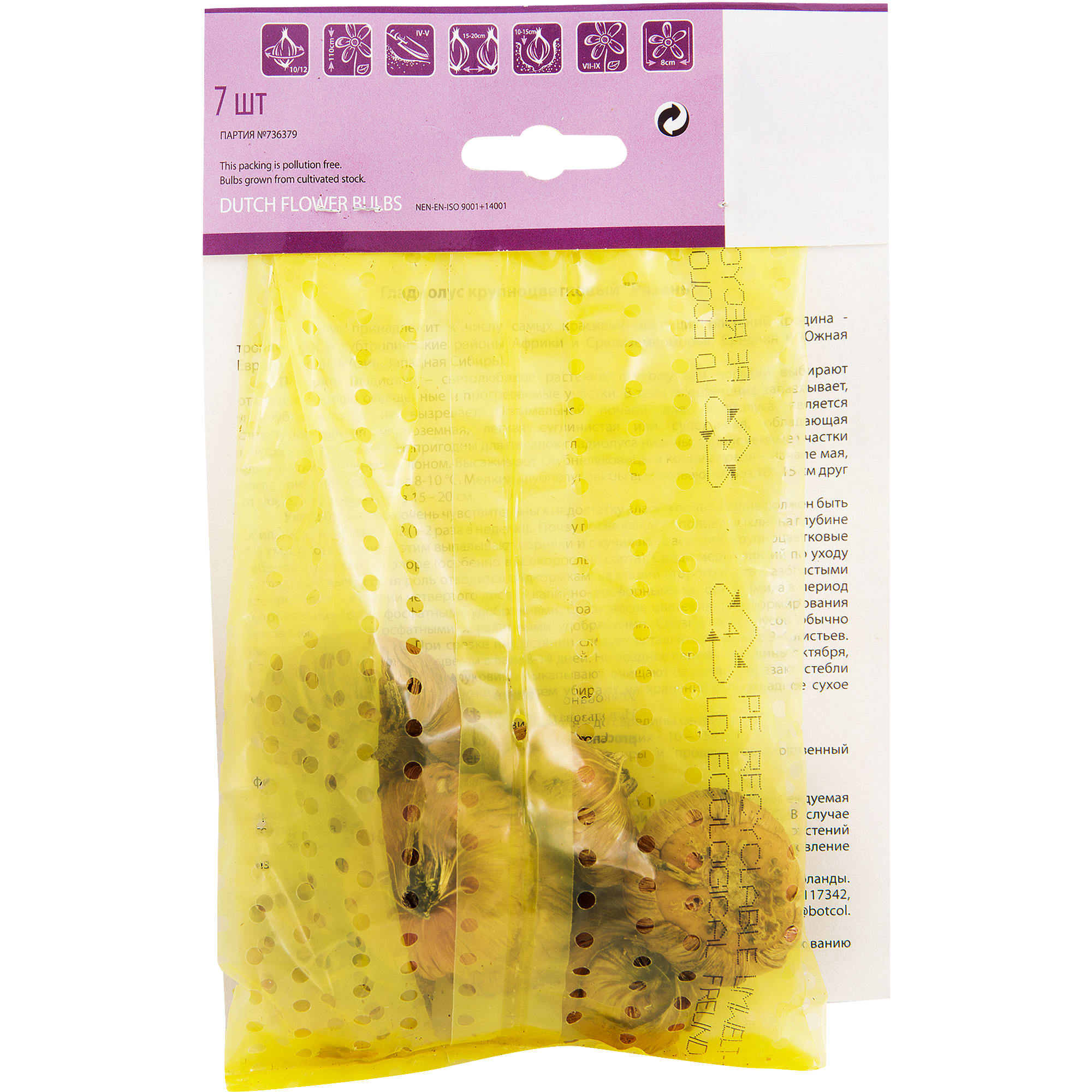 82120071 Гладиолус крупноцветковый «Рязань» Santreyd  - Вид №1