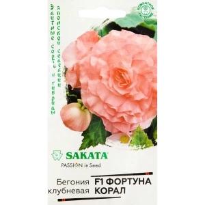Бегония «Фортуна Корал» F1, 4 шт.