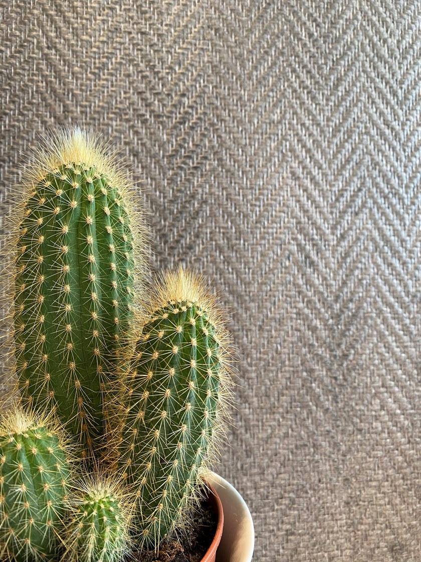 Oltremateria Покрытие из стекловолокна sun-id-1466417 - Вид №5