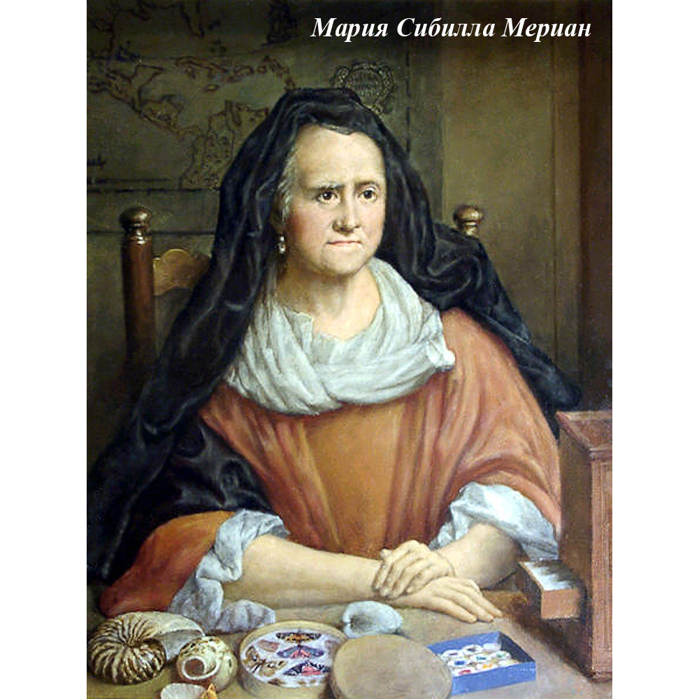 2719187 Интерьерная подушка «Ботаническое барокко», версия 5 Object Desire  - Вид №7