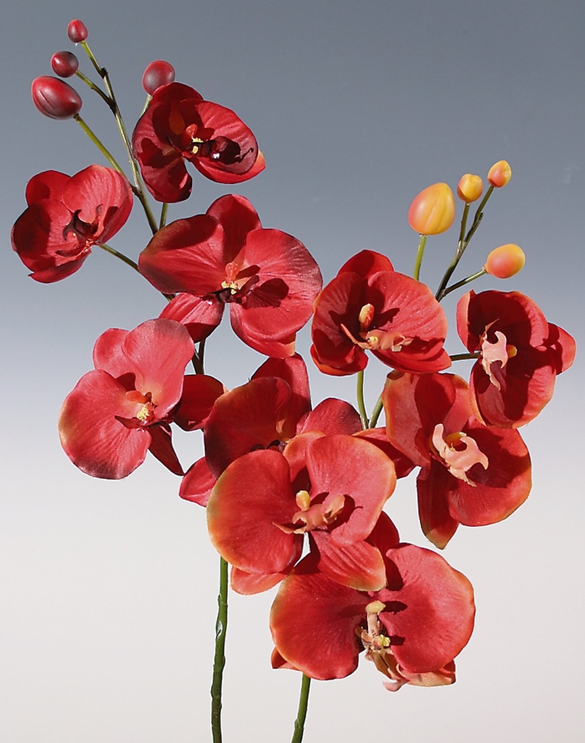 2368 344 a2 Искусственная орхидея Phalaenopsis, 75 см, темно-оранжевая H-andreas 