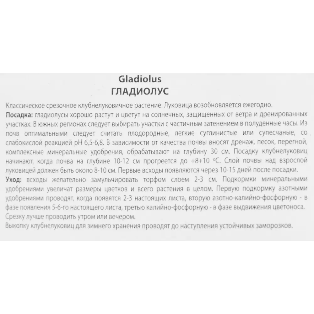 Гладиолус крупноцветковый Пекунья, 3 шт ПОИСК STLM-2163074 - Вид №2