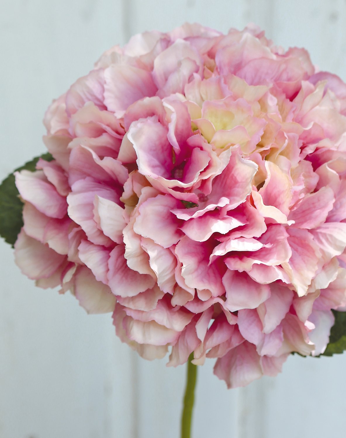 9901 510 a3 Гортензия искусственная, 40 см, розовая H-andreas 