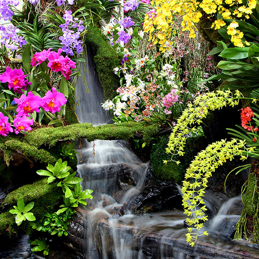 D2-084 Фотообои DIVINO Collection D 2.7х2 м D2084