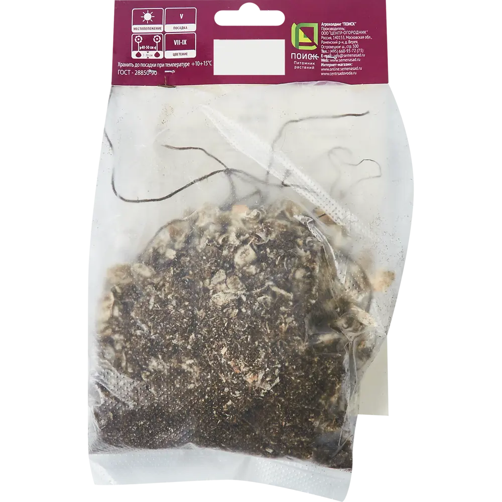 Канна карликовая Хэппи Изабель ПОИСК STLM-2086647 - Вид №1