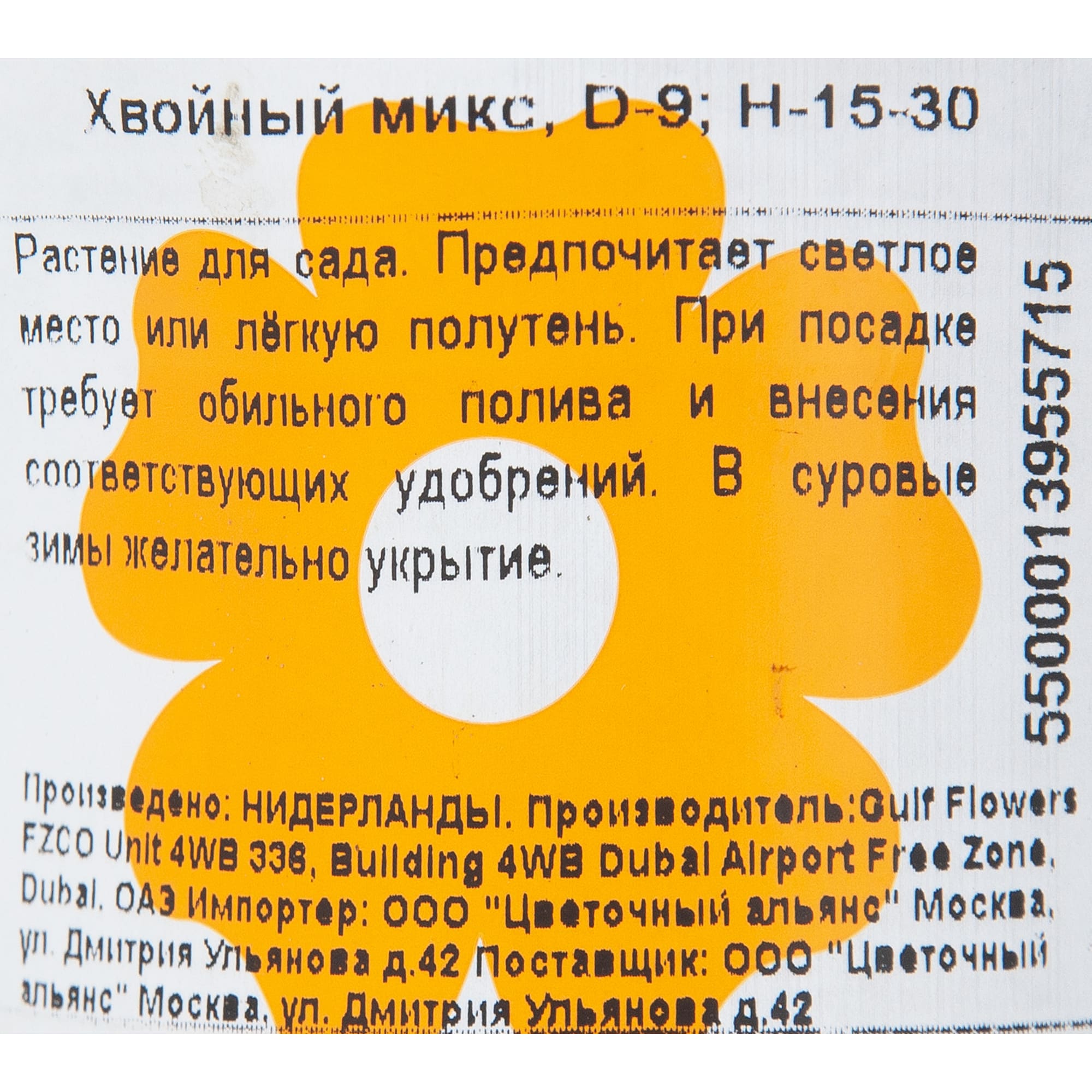 82619470 Хвойные микс Промо 9x20 см Santreyd  - Вид №2