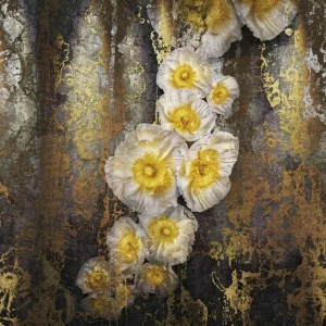 8-963-Serafina Фотообои Komar Imagine Edition 2 254х368 м