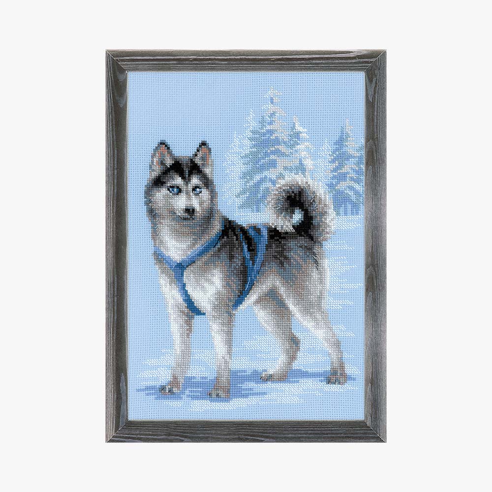 1626 Набор для вышивания Хаски 26 х 38 см RIOLIS Сотвори Сама 