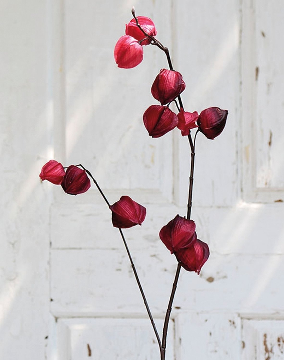 3444 490 a2 Физалис искусственный, 11 плодов, 95 см, красно-черный H-andreas  - Вид №1