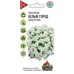 Семена Лобулярия Белый город 83606935 STLM-2168415