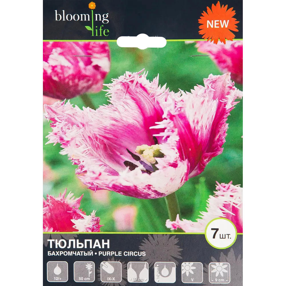 Тюльпан «Перпл Серкус» размер луковицы 12, 7 шт. 82665848 STLM-2057436 BLOOMING LIFE 