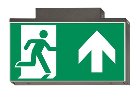 DST-2834 Lisu ceiling-mounted Daisalux Светильники сигнальные Металлический Серый 