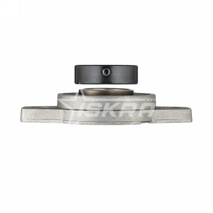 IS2010 Подшипниковый узел UFL001 ISKRA  - Вид №5