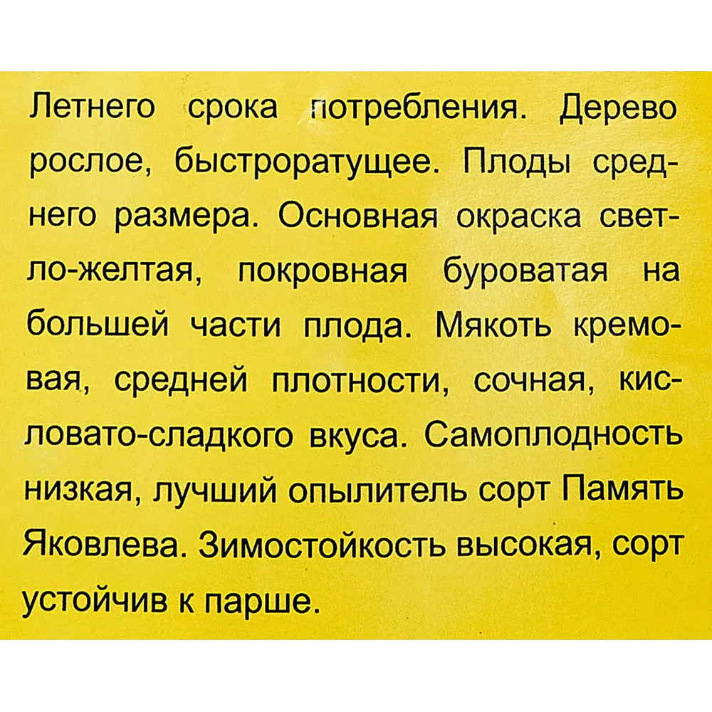 Груша Северянка краснощекая пакет h50 см 89353499 STLM-2052530 Santreyd  - Вид №3