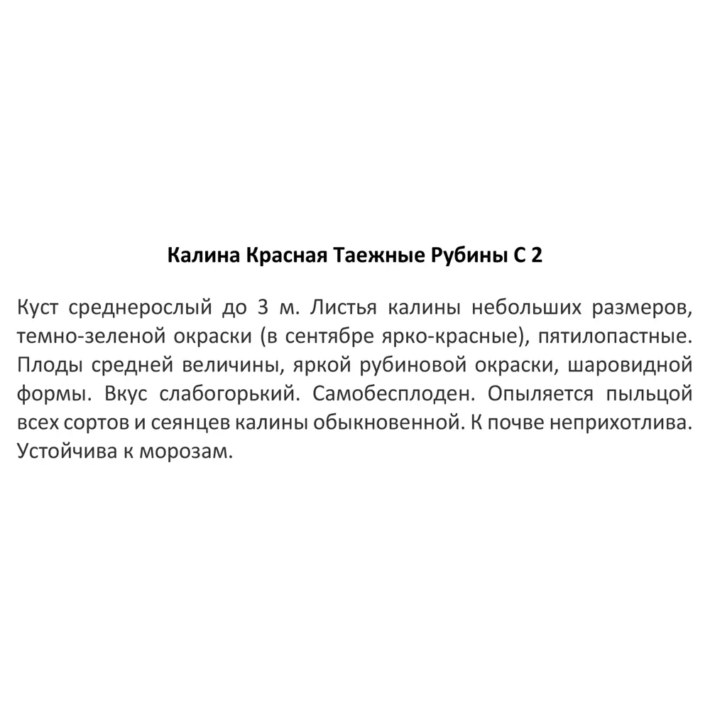 Калина красная Таежные рубины ø17 h30 см 85325506 STLM-2135246 Santreyd  - Вид №2