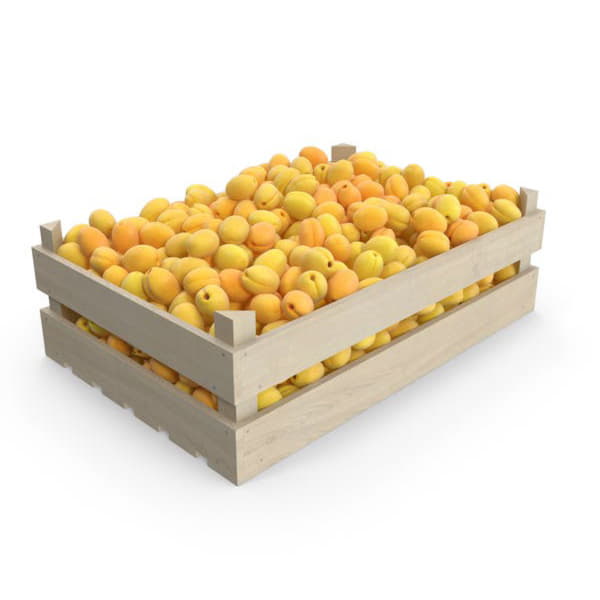 Абрикосы Узбекистан в ящике ~9 кг Santreyd 19498 - Вид №1