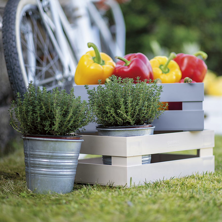 17020033 Ящик для хранения tidy&store 45х31х15 см, серый Guzzini  - Вид №1