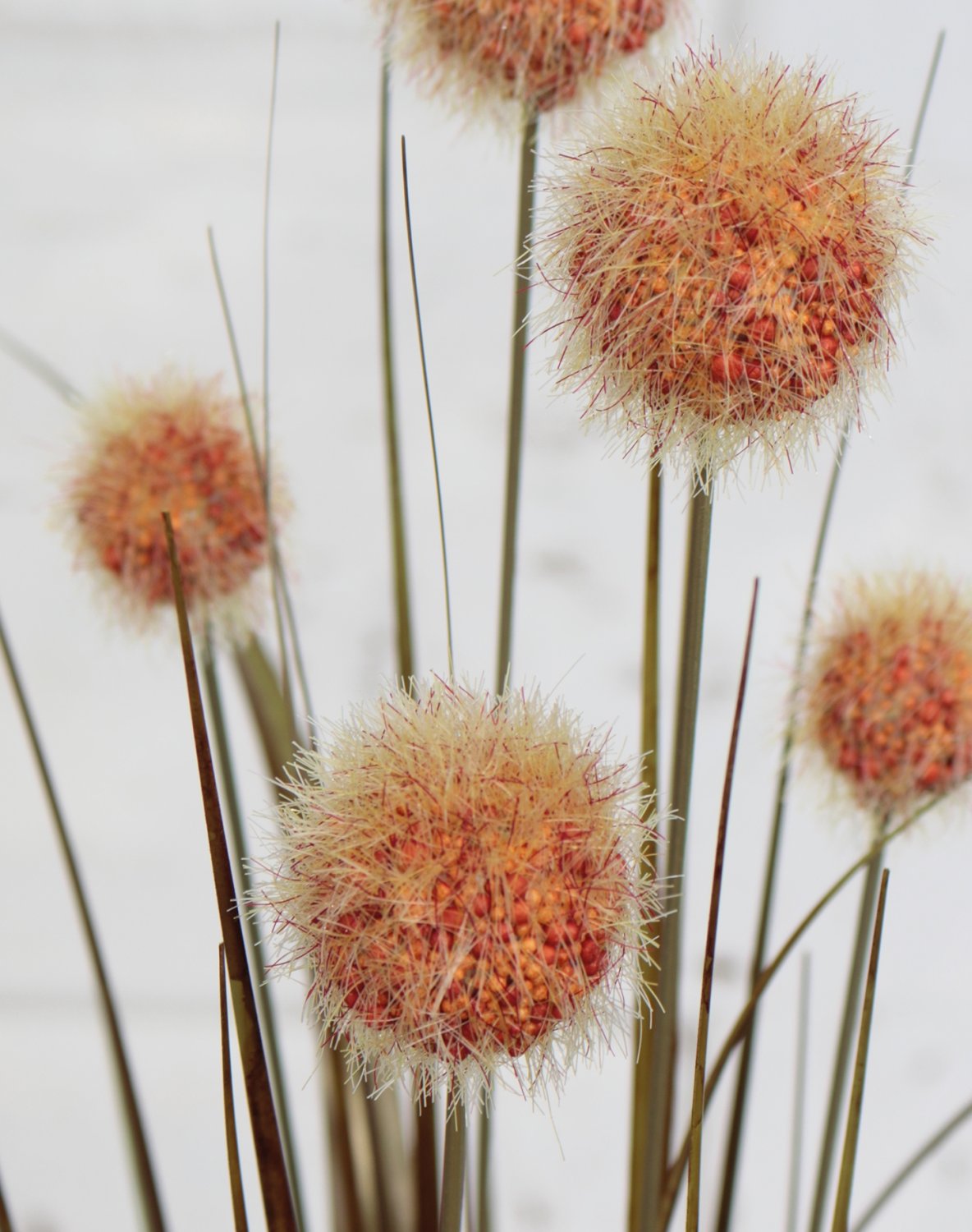 4945 608 a3 Мяч из искусственной травы, 75 см, коричнево-зеленый H-andreas  - Вид №11