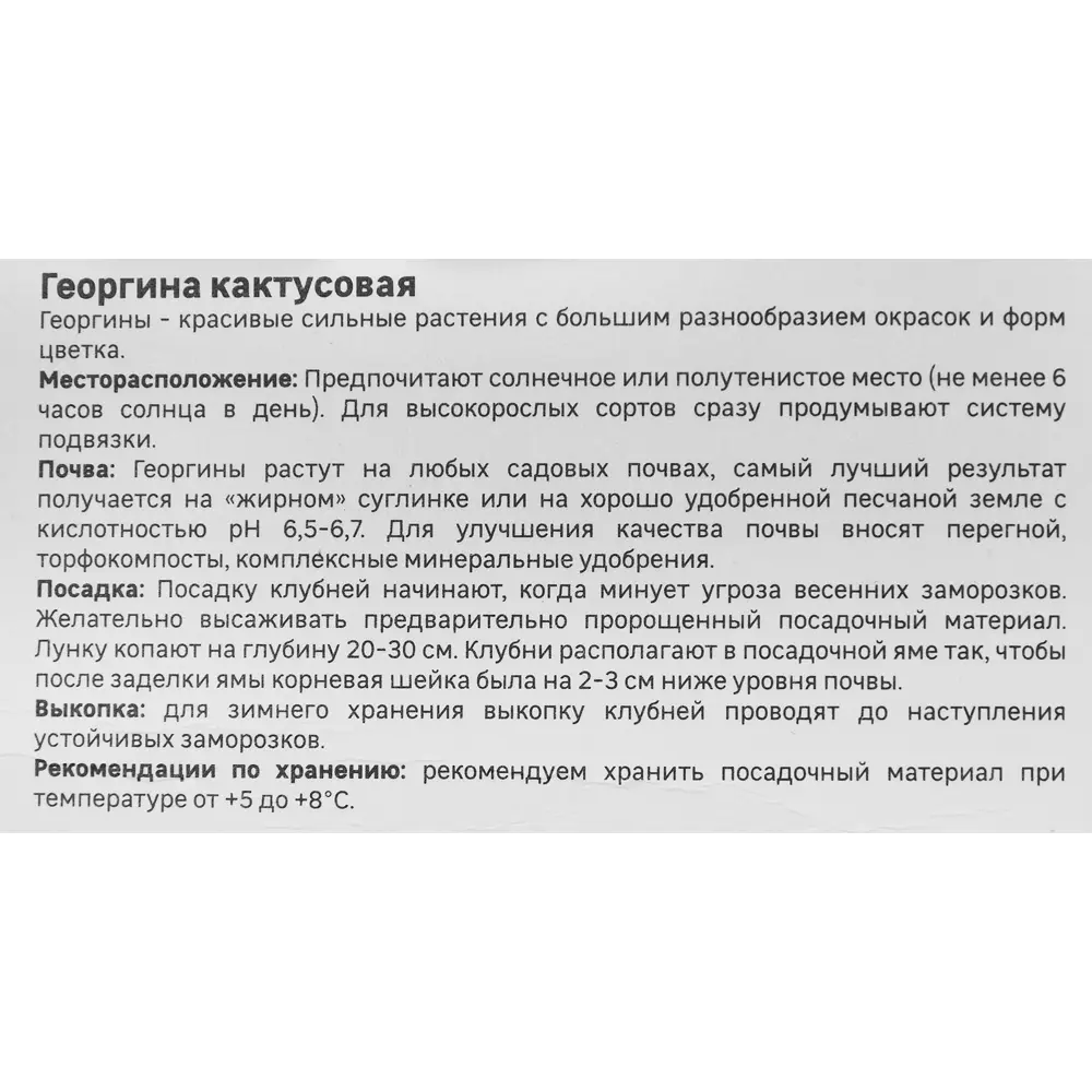 Георгина Geolia кактусовая Плая-бланка 86408563 STLM-2161495  - Вид №3