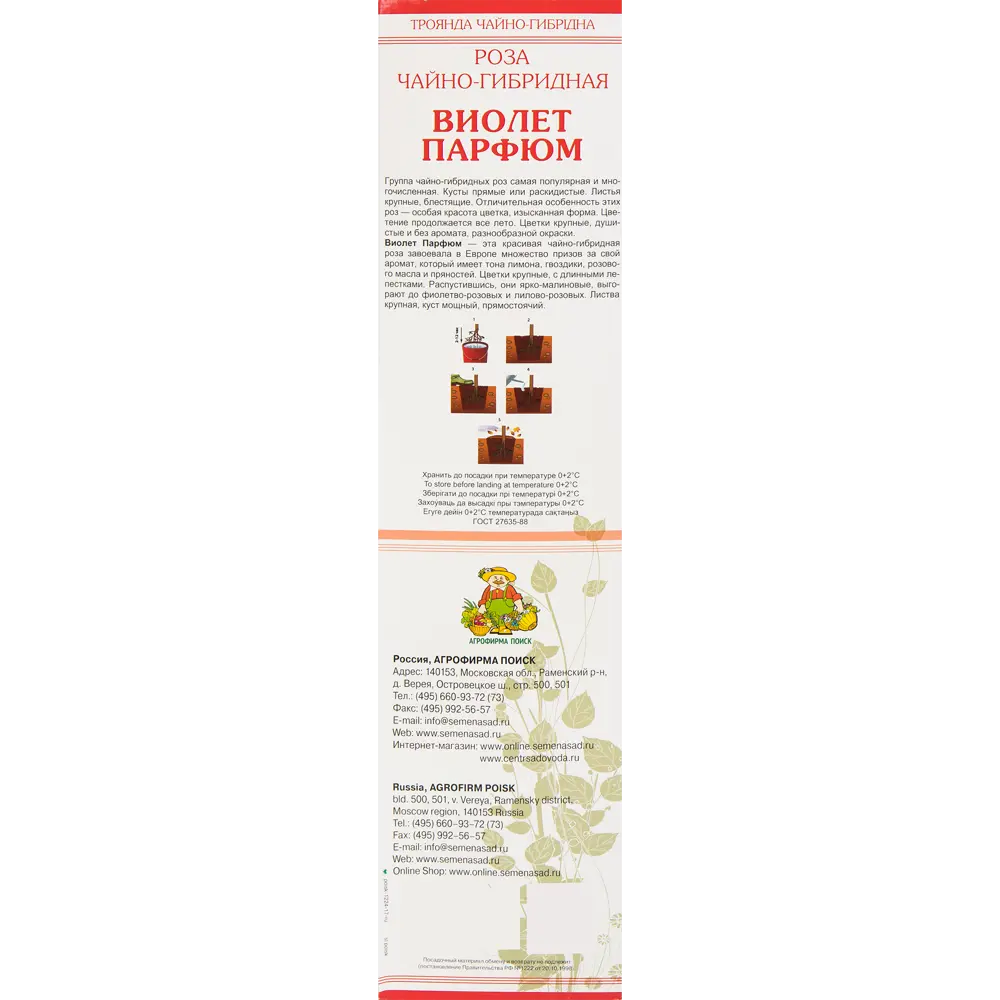 Роза чайно-гибридная «Виролетт Парфюм» 81951235 STLM-2057237 Santreyd  - Вид №2