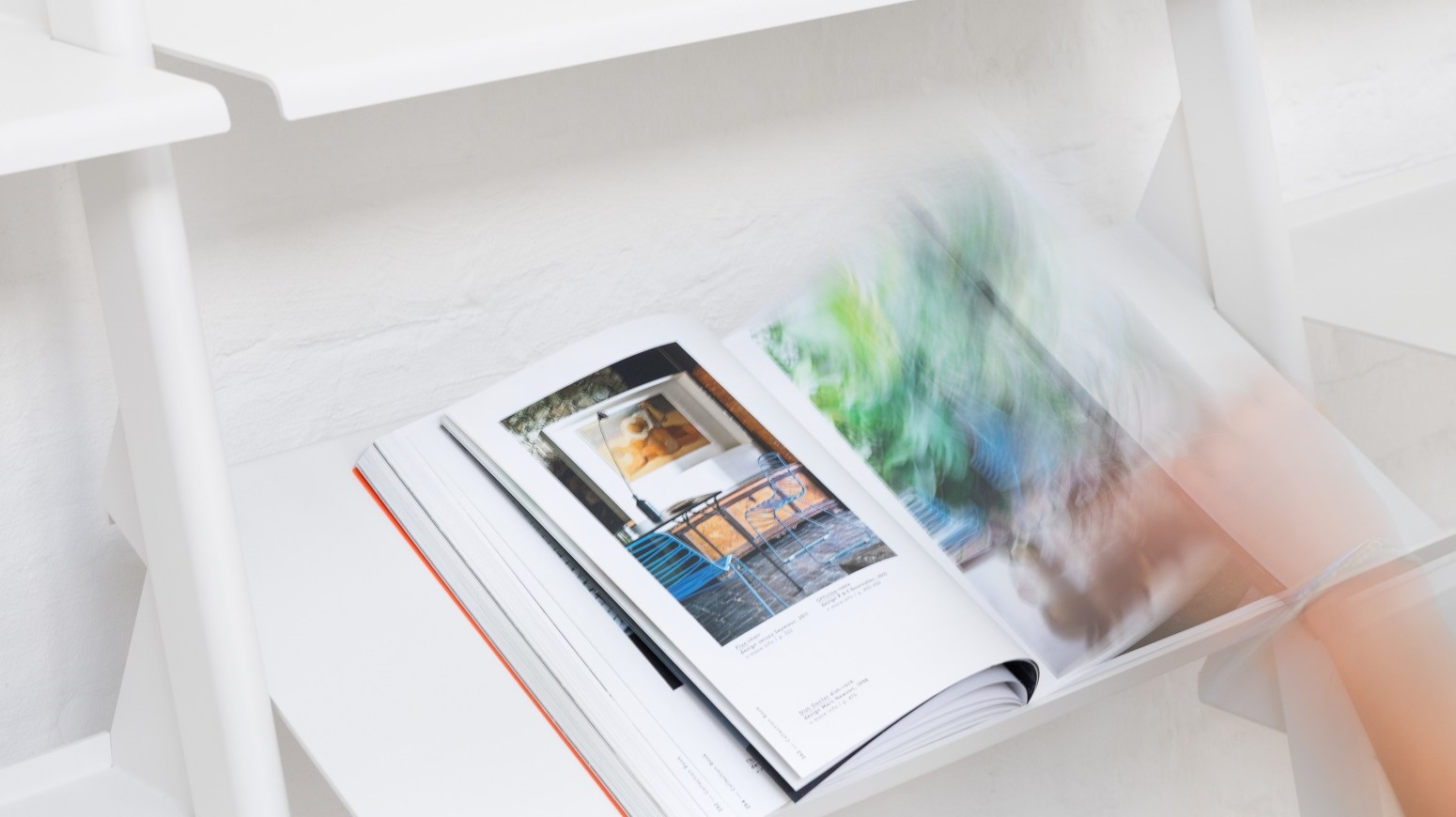 Тайк - Дикая группа Magis sun-id-1328971 - Вид №10