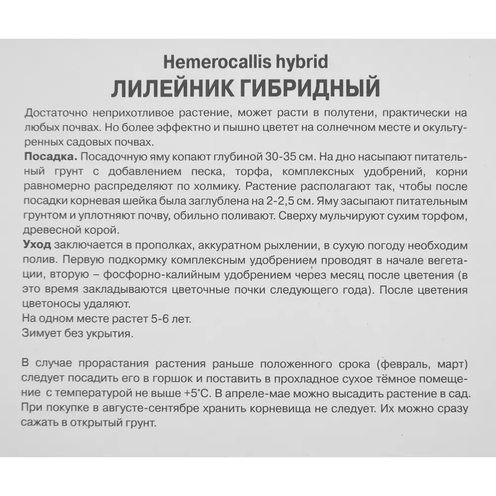 Лилейник гибридный Супер Пепл 85186042 STLM-2126231 ПОИСК  - Вид №2