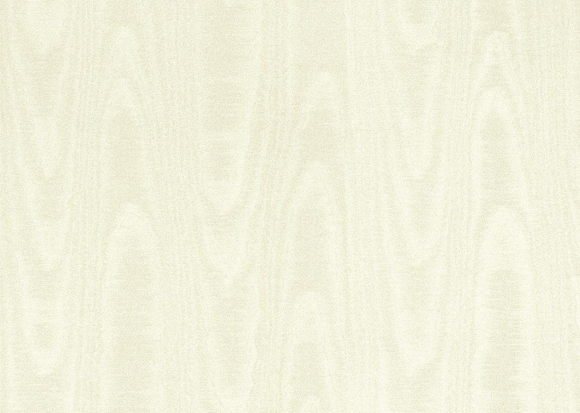 Обои Jannelli&Volpi ИТАЛЬЯНСКИЙ ШЕЛК 7 ARCH-00025988