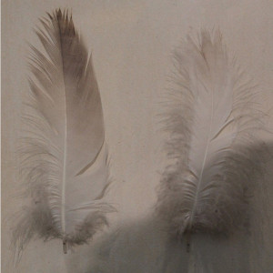 2275/CX38 Картина 2275 Adriani e Rossi